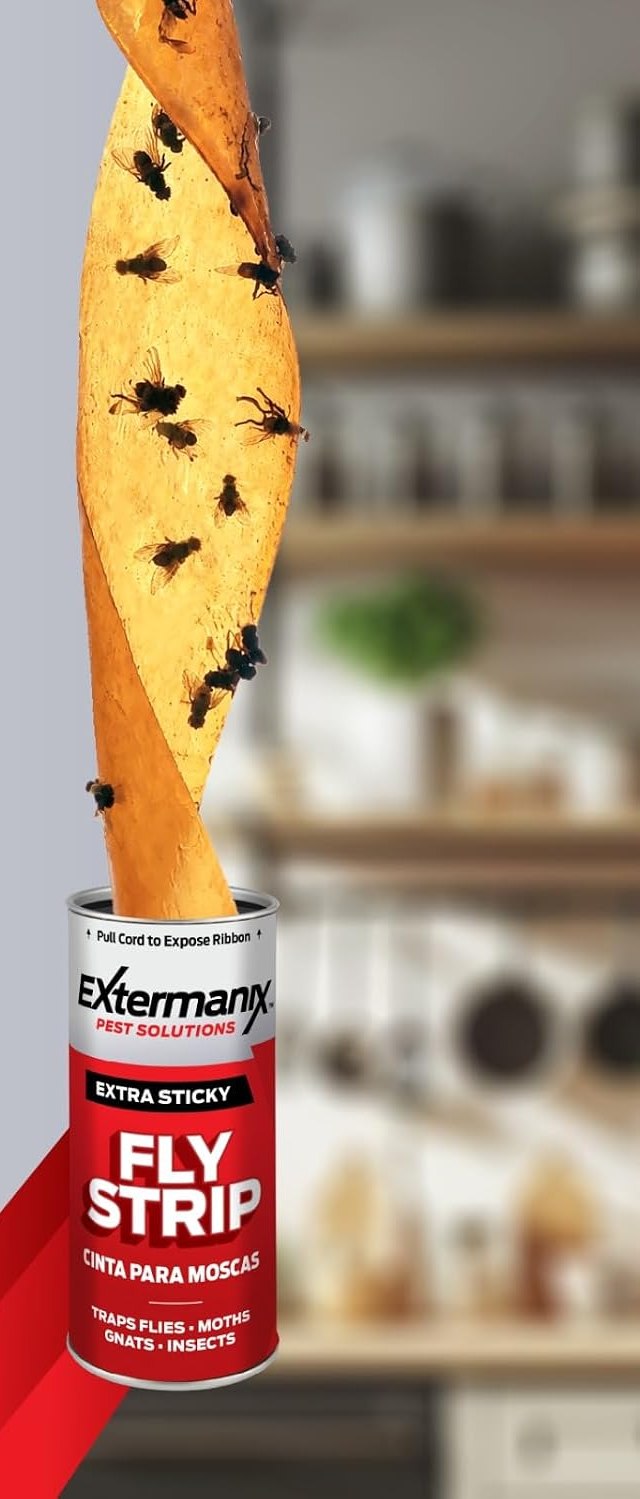 Extermanix Fly Strip catching flies above a kitchen