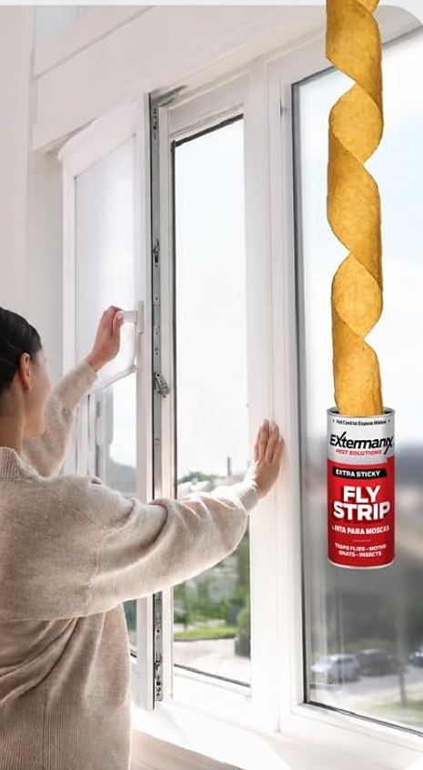 Fly strip hanging in a window