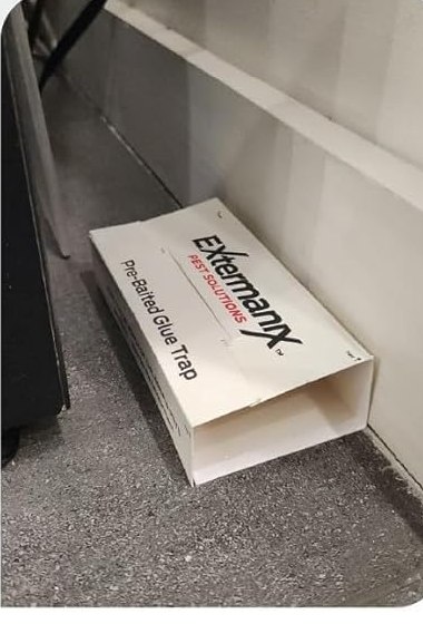 Extermanix Glue Trap folded into a covered box