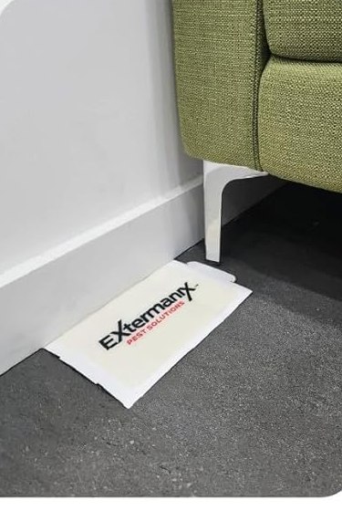 Extermanix Glue Trap laid flat along a baseboard