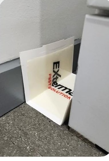 Glue trap folded U-shape behind furniture